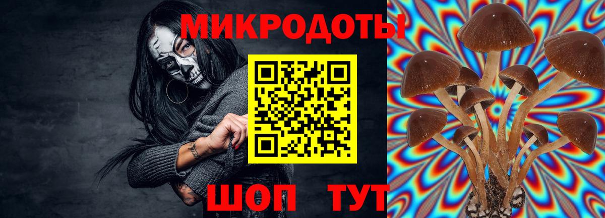 Галлюциногенные грибы мицелий Александров
