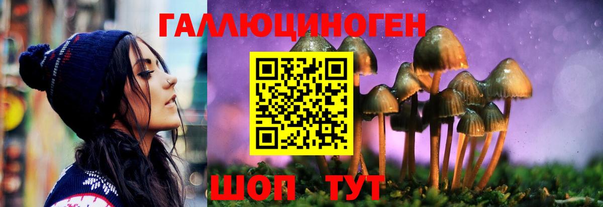 Псилоцибиновые грибы Magic Shrooms  Вход с VPN  Александров 